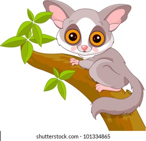 Featured image of post Bush Baby Cartoon Images