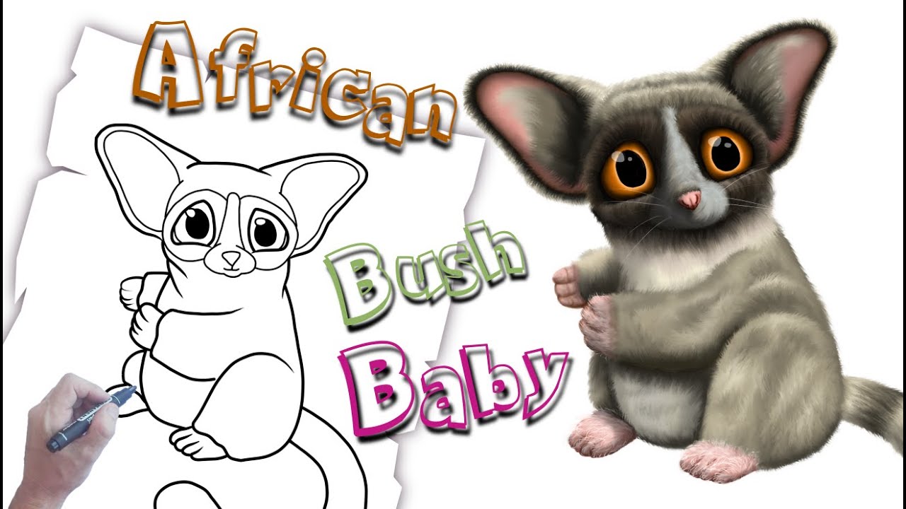 Featured image of post Cartoon Bush Baby Drawing