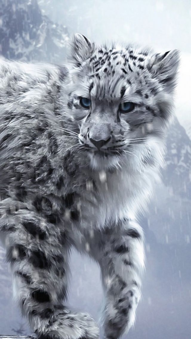 Featured image of post Cute Snow Leopard Wallpaper