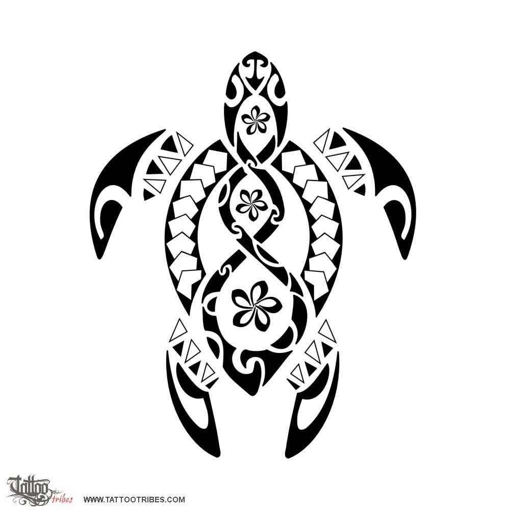 Featured image of post Hawaiian Tribal Sea Turtle Tattoo