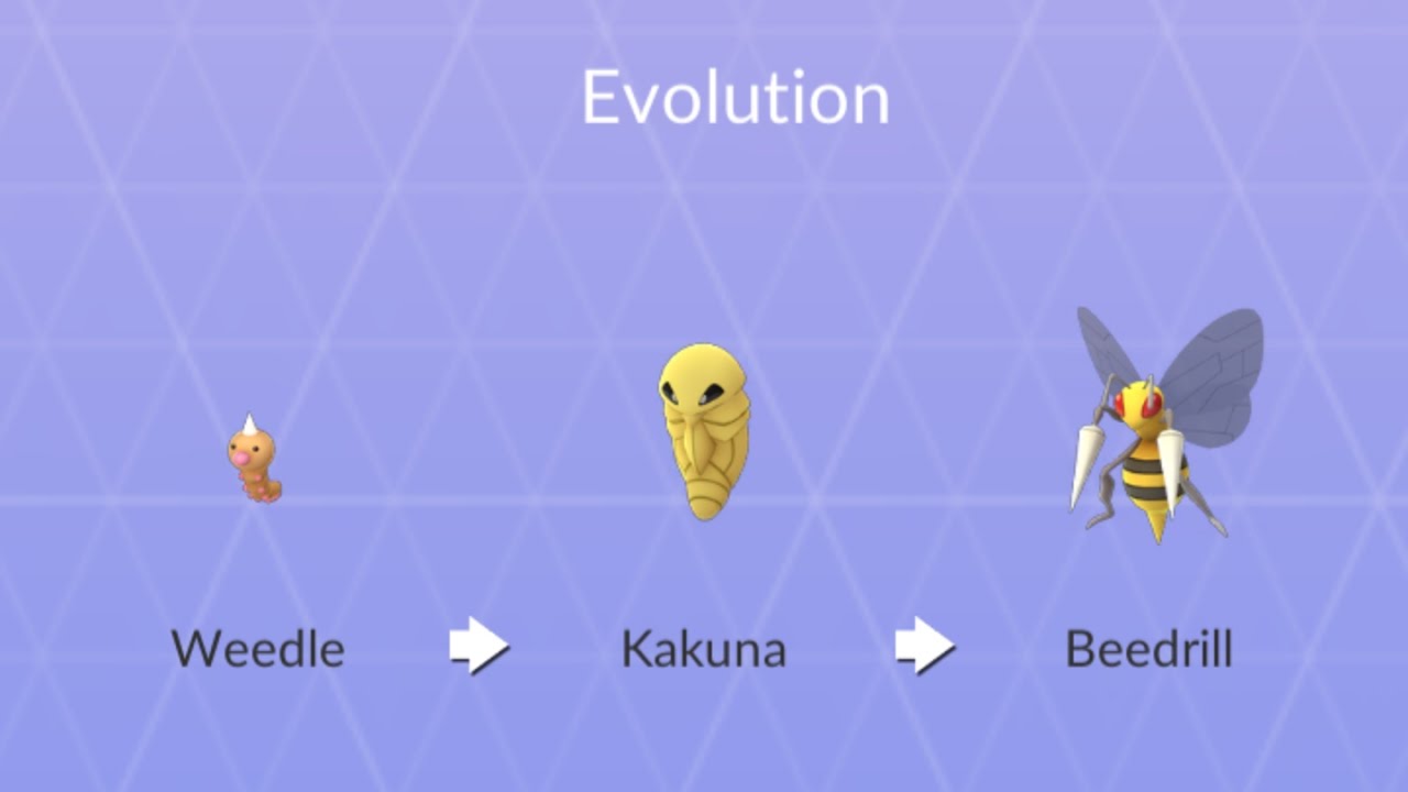 Featured image of post What Does Kakuna Evolve Into